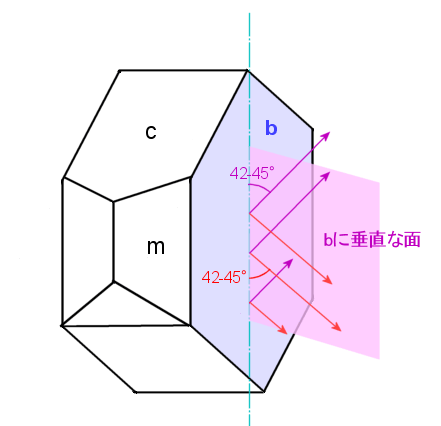 ΂̌`Ɛ̔zu֌W