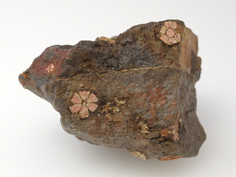 桜石 Cerasite 鉱物たちの庭