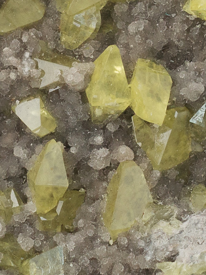 硫黄 Sulphur 鉱物たちの庭